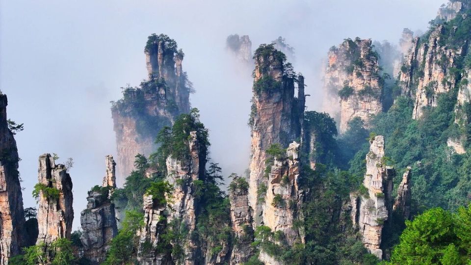 MUlLW, 一审丨王 MUlLW, 一审丨王